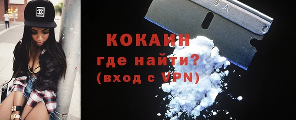 дживик Абаза