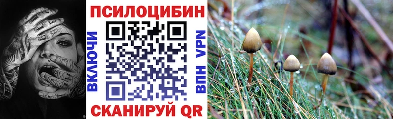 mega как войти  Кремёнки  Галлюциногенные грибы Magic Shrooms 